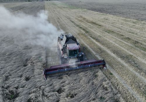 В Башкортостане ввели ЧС в 11 районах из-за переувлажнения посевов сельхозкультур