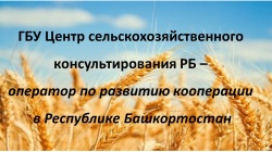 Проведение семинаров на тему «Основы делового сопровождения и консультирования в сфере сельскохозяйственной потребительской кооперации»