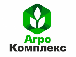 Эксперты проконсультировали инициативные группы по направлениям  доходогенерирующих проектов
